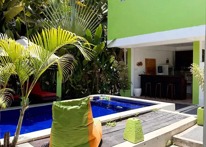 Urban Jungle House Guest house